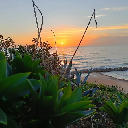 Sciascia 마리나 디 팔마