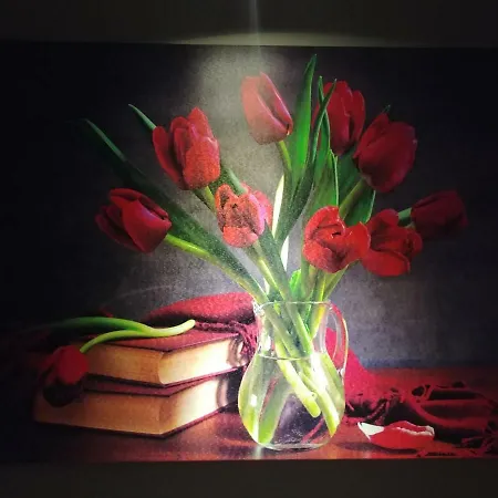 아파트 Sciascia 마리나 디 팔마